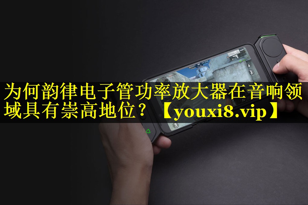 为何韵律电子管功率放大器在音响领域具有崇高地位？