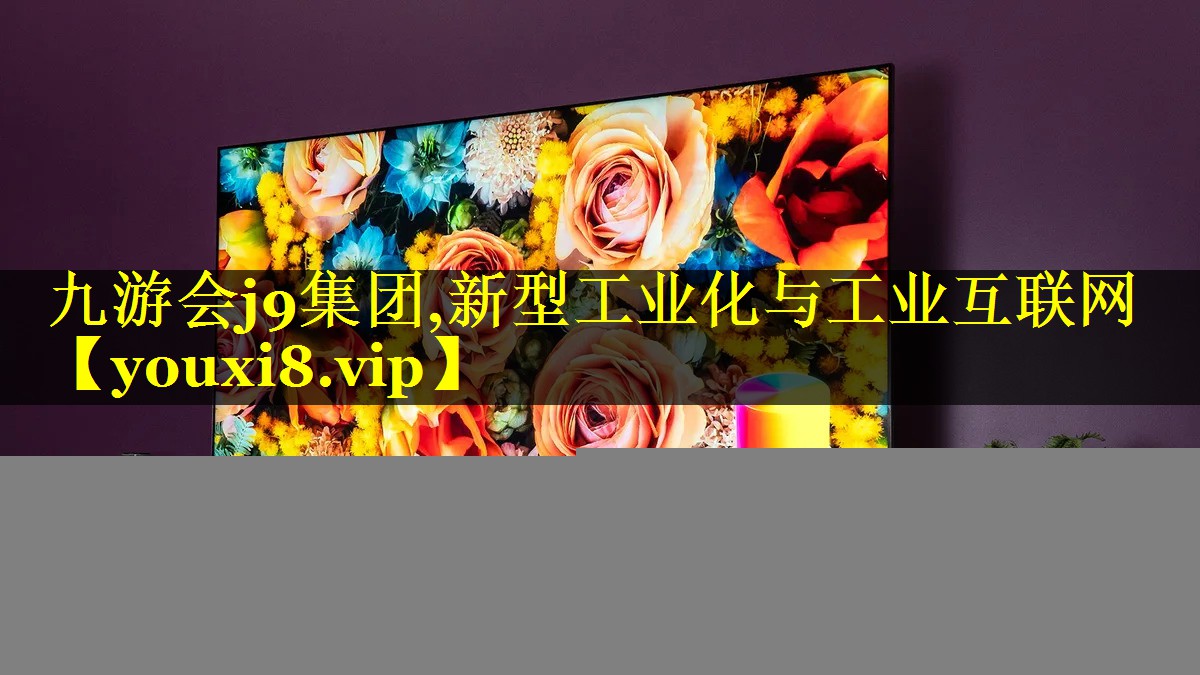 九游会j9集团,新型工业化与工业互联网