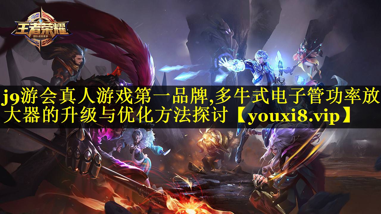 多牛式电子管功率放大器的升级与优化方法探讨 多牛式电子管功率放大器的升级与优化方法探讨