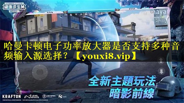 哈曼卡顿电子功率放大器是否支持多种音频输入源选择? 哈曼卡顿电子功率放大器是否支持多种音频输入源选择?