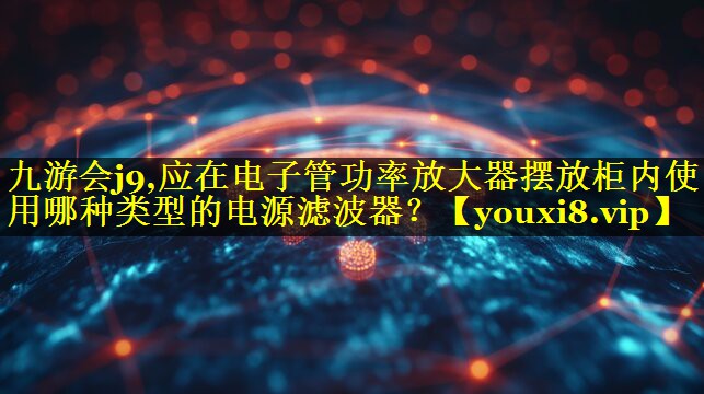 应在电子管功率放大器摆放柜内使用哪种类型的电源滤波器? 应在电子管功率放大器摆放柜内使用哪种类型的电源滤波器?