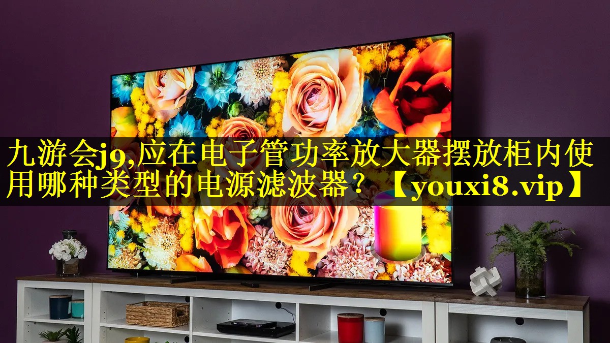 应在电子管功率放大器摆放柜内使用哪种类型的电源滤波器? 应在电子管功率放大器摆放柜内使用哪种类型的电源滤波器?