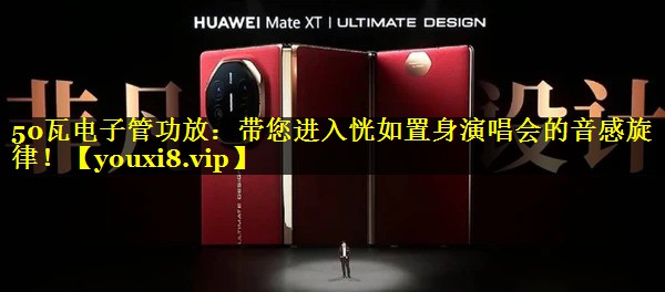 50瓦电子管功放:带您进入恍如置身演唱会的音感旋律! 50瓦电子管功放:带您进入恍如置身演唱会的音感旋律!