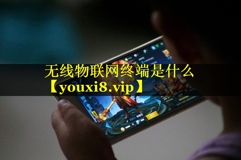 无线物联网终端是什么 无线物联网终端是什么
