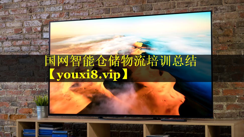 国网智能仓储物流培训总结 国网智能仓储物流培训总结