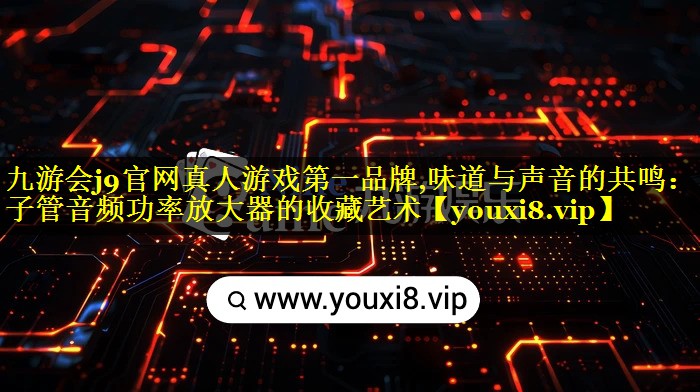 味道与声音的共鸣:电子管音频功率放大器的收藏艺术 味道与声音的共鸣:电子管音频功率放大器的收藏艺术
