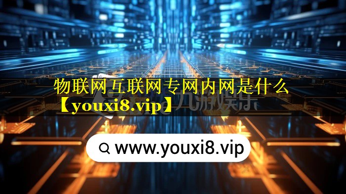 物联网互联网专网内网是什么 物联网互联网专网内网是什么