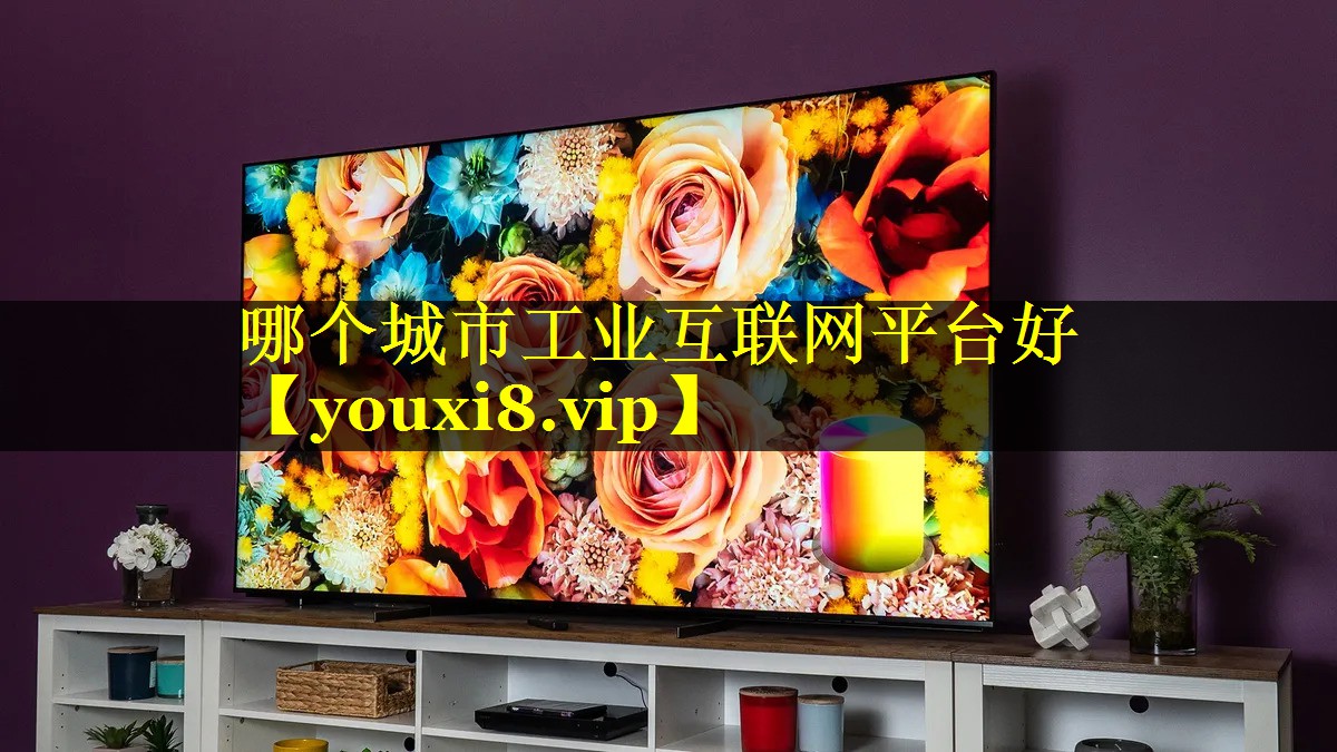 哪个城市工业互联网平台好 哪个城市工业互联网平台好