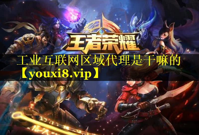 工业互联网区域代理是干嘛的 工业互联网区域代理是干嘛的