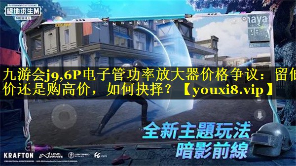 6P电子管功率放大器价格争议:留低价还是购高价,如何抉择? 6P电子管功率放大器价格争议:留低价还是购高价,如何抉择?