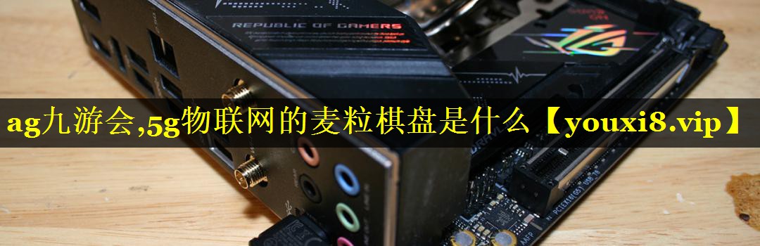 5g物联网的麦粒棋盘是什么 5g物联网的麦粒棋盘是什么