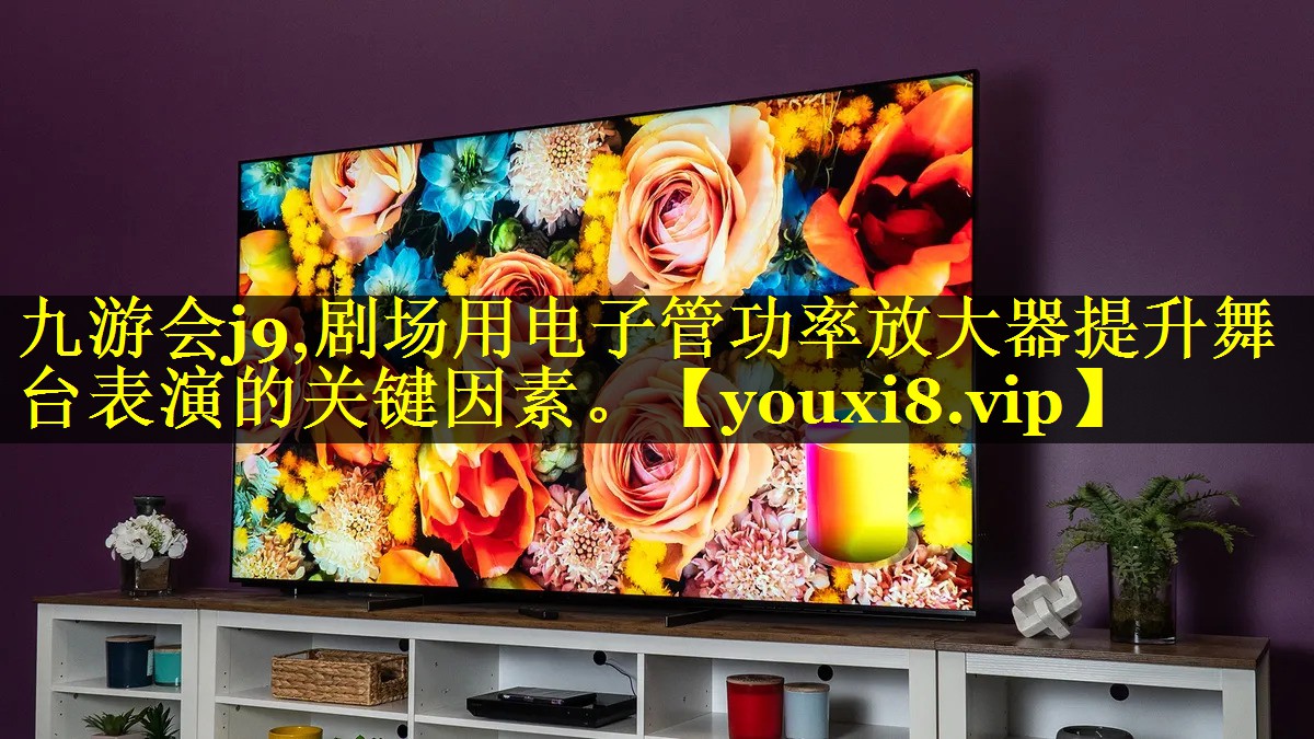 剧场用电子管功率放大器提升舞台表演的关键因素。 剧场用电子管功率放大器提升舞台表演的关键因素。