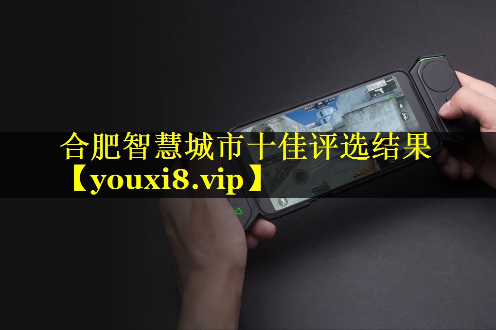 合肥智慧城市十佳评选结果 合肥智慧城市十佳评选结果
