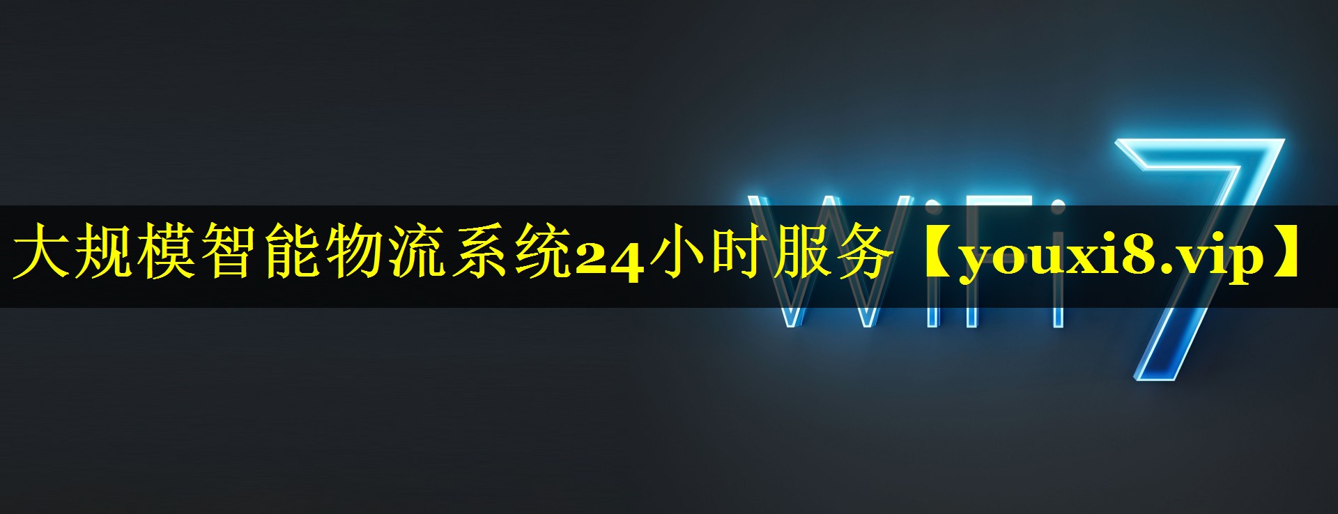 大规模智能物流系统24小时服务 大规模智能物流系统24小时服务