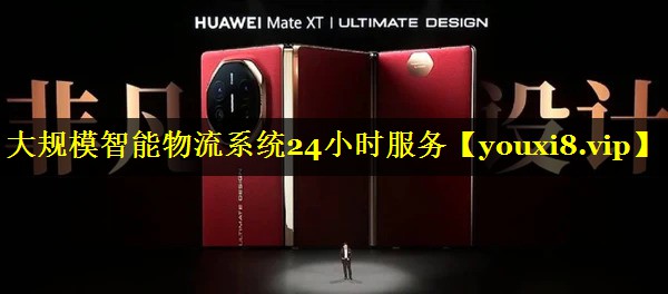 大规模智能物流系统24小时服务 大规模智能物流系统24小时服务