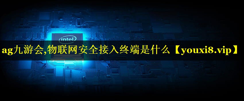物联网安全接入终端是什么 物联网安全接入终端是什么