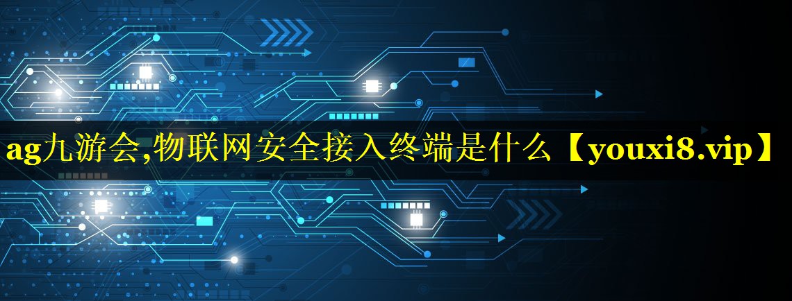 物联网安全接入终端是什么 物联网安全接入终端是什么