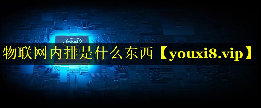 物联网内排是什么东西 物联网内排是什么东西