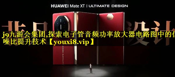 探索电子管音频功率放大器电路图中的信噪比提升技术 探索电子管音频功率放大器电路图中的信噪比提升技术