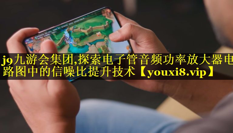 探索电子管音频功率放大器电路图中的信噪比提升技术 探索电子管音频功率放大器电路图中的信噪比提升技术