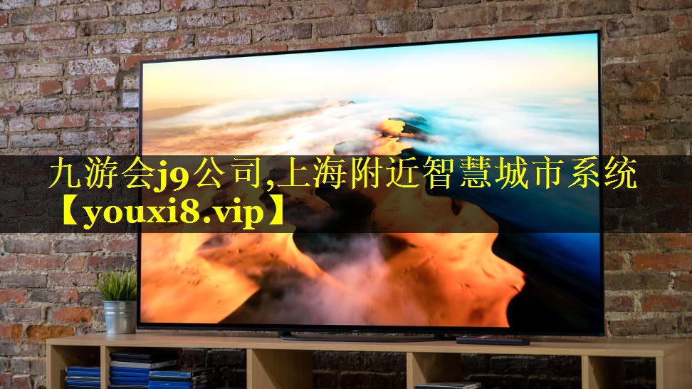 上海附近智慧城市系统 上海附近智慧城市系统