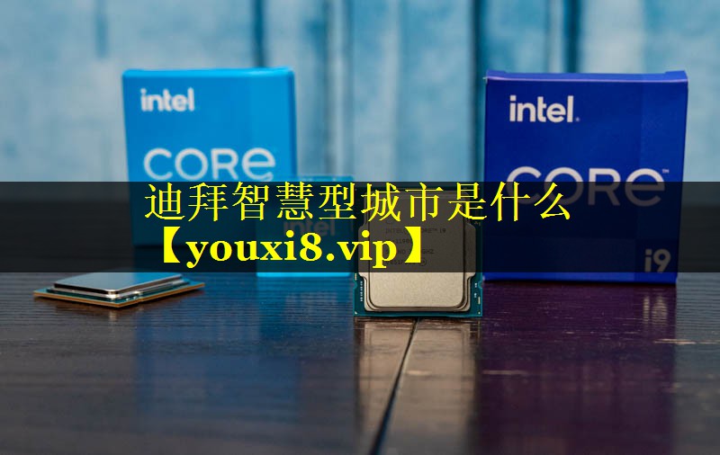 迪拜智慧型城市是什么 迪拜智慧型城市是什么