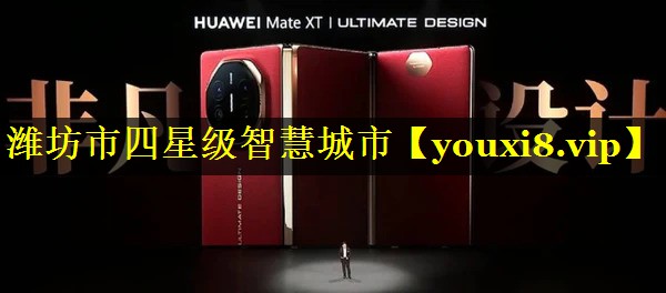 潍坊市四星级智慧城市 潍坊市四星级智慧城市