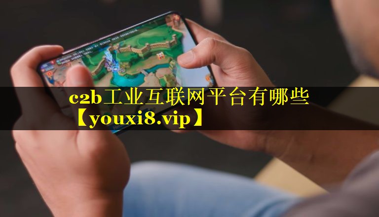 c2b工业互联网平台有哪些 c2b工业互联网平台有哪些